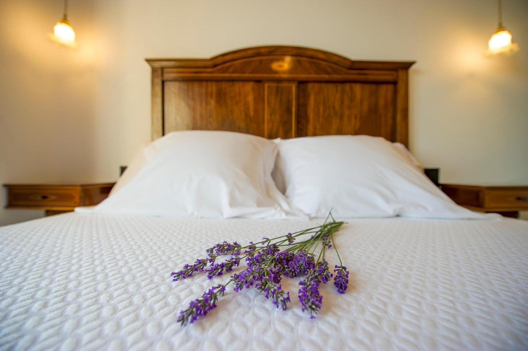 Bed and Breakfast Bolet Casa Modernista Castellvi de la Marca Экстерьер фото