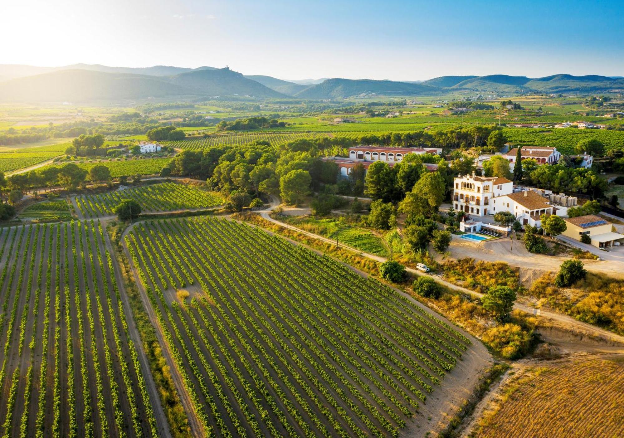 Bed and Breakfast Bolet Casa Modernista Castellvi de la Marca Экстерьер фото
